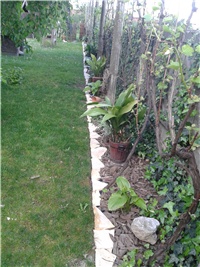 da874e14-2016-05-06 17.16.41.jpg